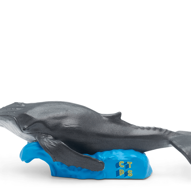 National Geographic Kids: Whale Tonie
